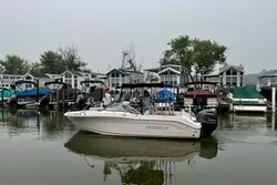 Scenic lakeside landscape at Lakeside Marblehead