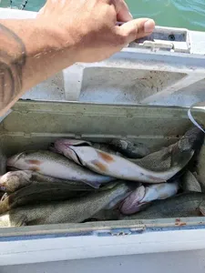 Angler fishing in Ohio