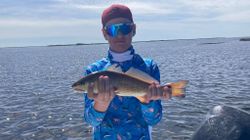 Inshore fishing in Bayport, FL