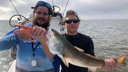 Bayport, FL Inshore Fishing for Redfsih