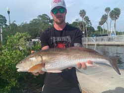 Redfish Fishing in Bayport, FL