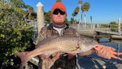 Redfish caught in Weeki Wachee Swamp