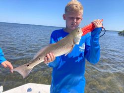 Redfish trip with kids in Bayport, FL