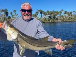 Great size Snook caught in Bayport, FL