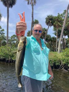 Great catch in Weeki Wachee Swamp