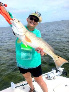 Big Redfish caught Bayport, FL