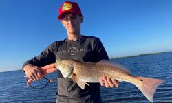 Redfish Caught in Bayport, FL