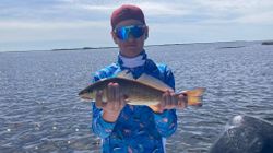 Person fishing in Spring Hill