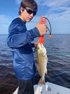 Angler holding a 15-inch redfish in Spring Hill