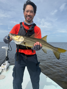 Beautiful Bayport snook making the trip worthwhile!