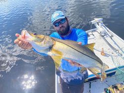 Snook, a big fish caught during fishing in Spring Hill