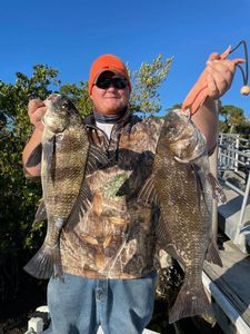Two black drum fish caught in FL