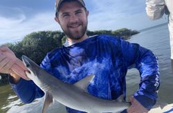 Dusky Smooth-Hound caught while fishing in FL