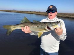 Snook fish caught by angler in Florida
