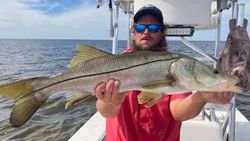 A snook fish caught on a fishing trip in Florida