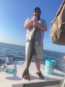 Angler with a 36-inch catch in Spring Hill