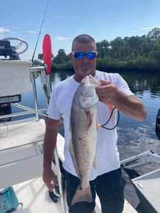 Redfish caught in FL