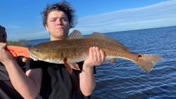 Redfish catch in FL