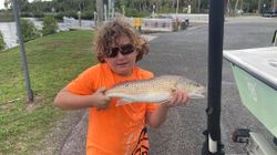 Redfish caught while fishing in Spring Hill