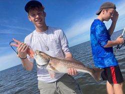 Redfish caught on fishing trip in Spring Hill
