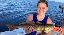 Redfish caught in Spring Hill