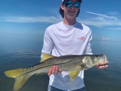 Snook fish caught in FL