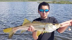 Snook fish caught on fishing outing in FL