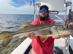 Snook fish caught in FL