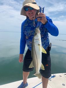 Snook caught while fishing in Florida