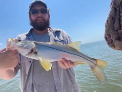 Snook fish caught in FL