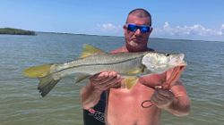 Snook fish caught by angler in Spring Hill