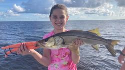 A single snook fish caught while fishing in Florida