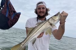 Snook fish caught while fishing in FL