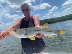 Snook, 32-inch fish, fishing in Spring Hill
