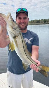 A large snook fish caught while fishing in Spring Hill