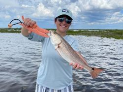 Angler in Spring Hill with 17-inch catch