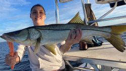 Caught a snook, 40-inch fish, in Spring Hill