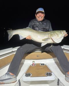 Angler with 35-inch fish in Maine