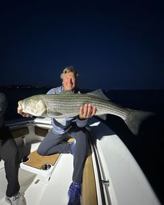 Striped bass caught in ME