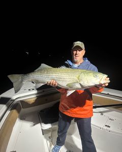 Striped bass caught while fishing in Wells, Maine