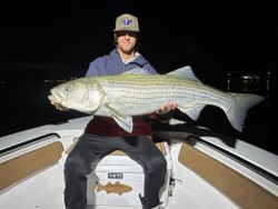 Striped Bass caught while fishing in ME