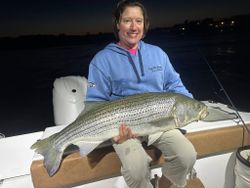 Striped bass caught while fishing in ME