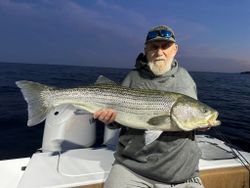 Striped bass caught while fishing in Maine