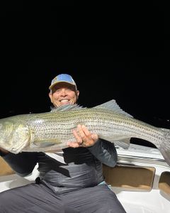 Striped bass caught while fishing in ME