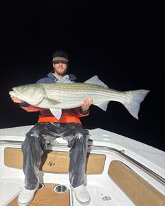 Striped bass caught fishing in ME