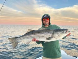 Striped bass caught while fishing in Wells