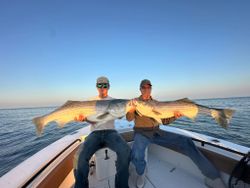 Two striped bass caught during fishing trip in Wells