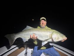 Striped bass caught fishing in Wells