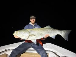 Striped bass caught on fishing trip in Wells