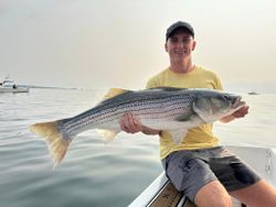 Striped bass caught in Maine by angler